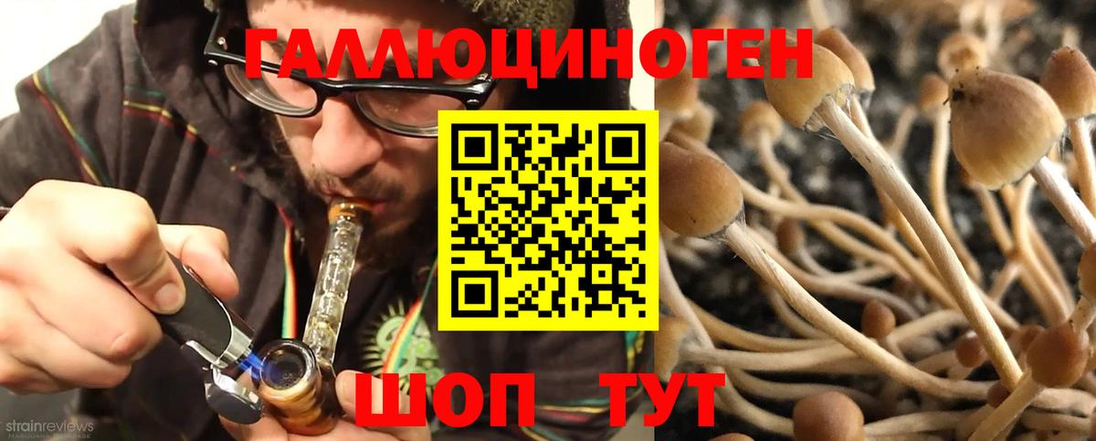Псилоцибиновые грибы ЛСД  Вход с VPN  Новоалександровск  как найти закладки  Псилоцибиновые грибы MAGIC MUSHROOMS 